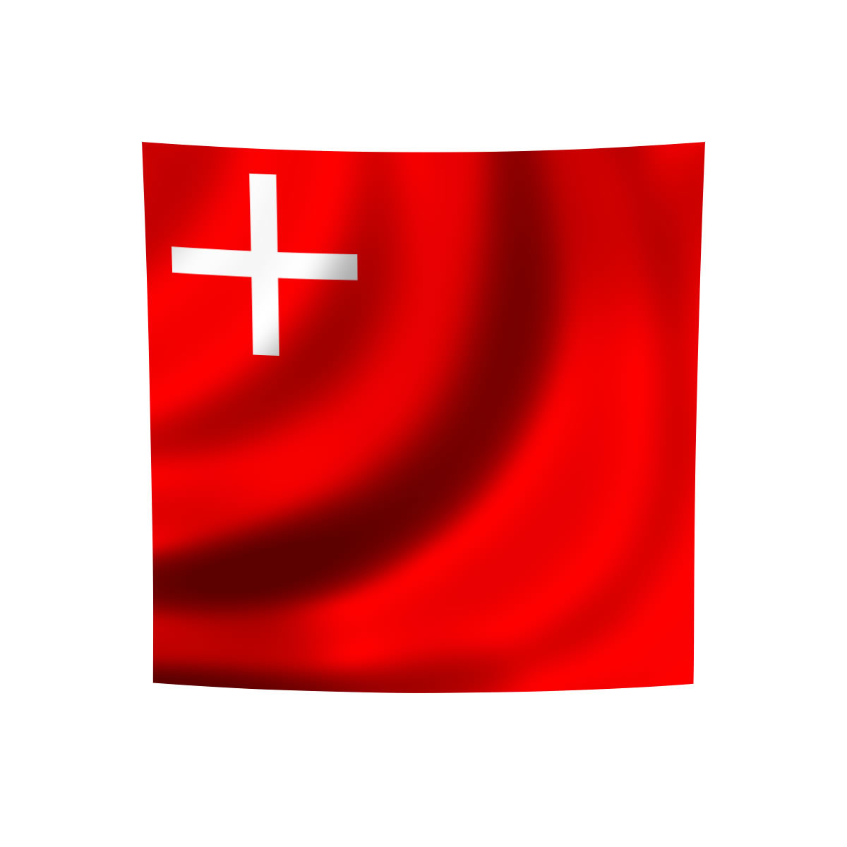 Kantons-Flagge Schwyz