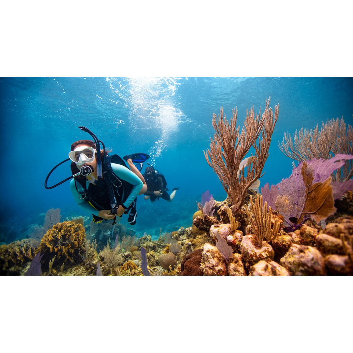Open Water Diver ( OWD ) Nicht Online Bu box