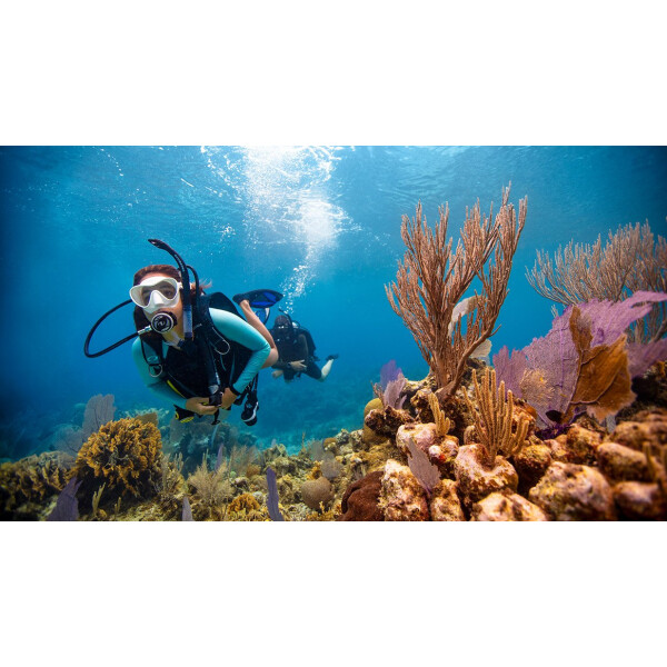 Open Water Diver ( OWD ) Nicht Online Buchbar !
