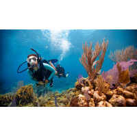 Open Water Diver ( OWD ) Nicht Online Buchbar !