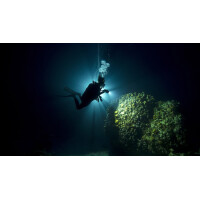 Advanced Open Water Diver (AOWD) Nicht Online Buchbar !