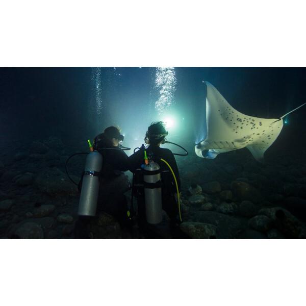 Padi Night Diver Nicht Online Buchbar !