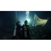 Padi Night Diver Nicht Online Buchbar !