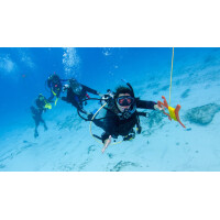 Padi Drift Diver Nicht Online Buchbar !